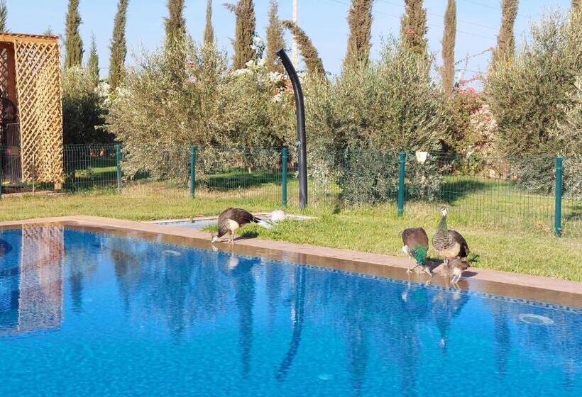 Pension Villa Giulia & Soley