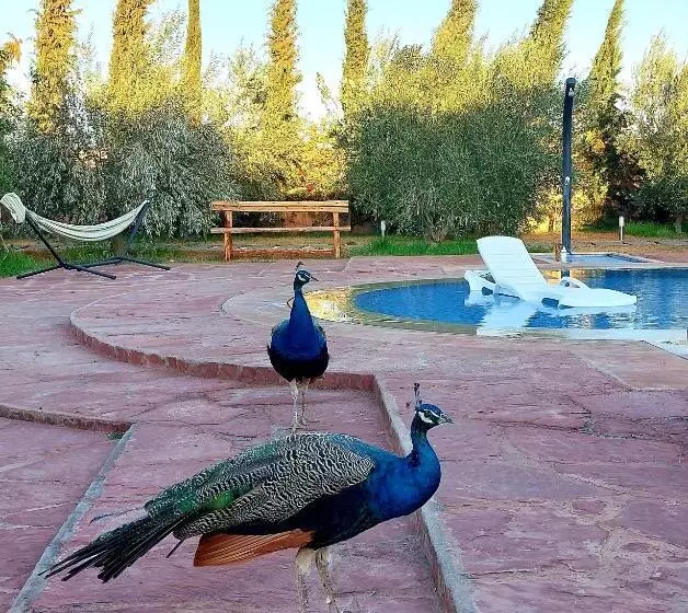 Majatalo Villa Giulia & Soley