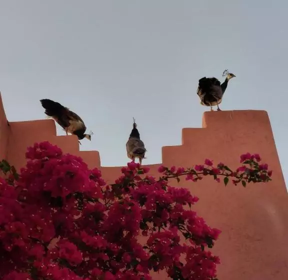 Majatalo Villa Giulia & Soley