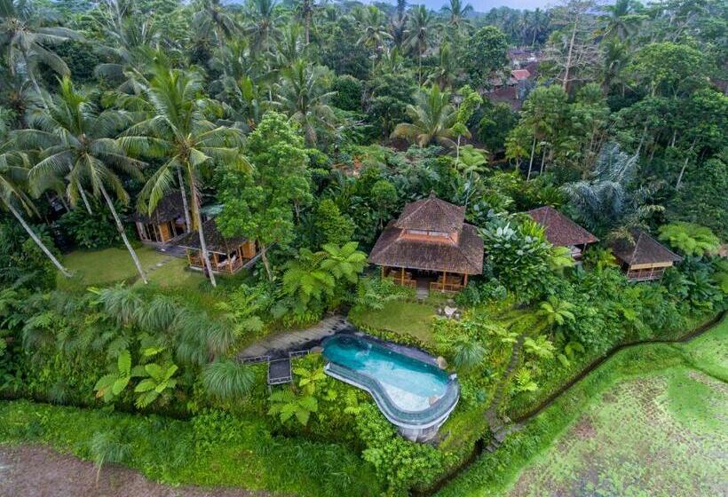 住宿加早餐 Dewi Tara Haven