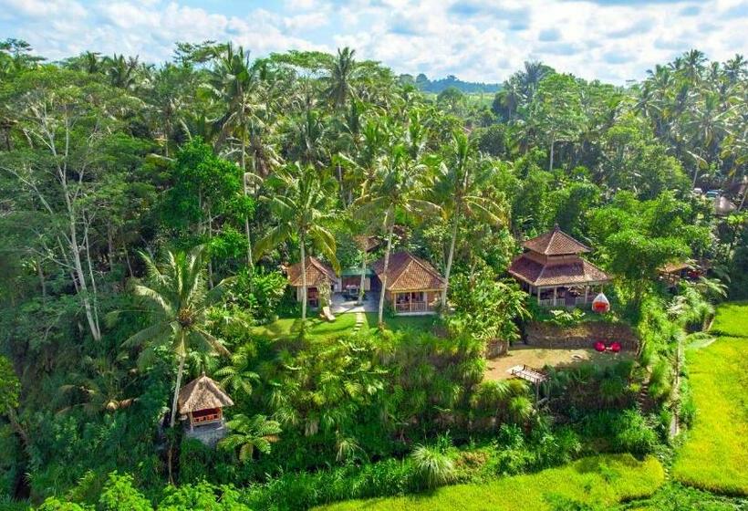 住宿加早餐 Dewi Tara Haven