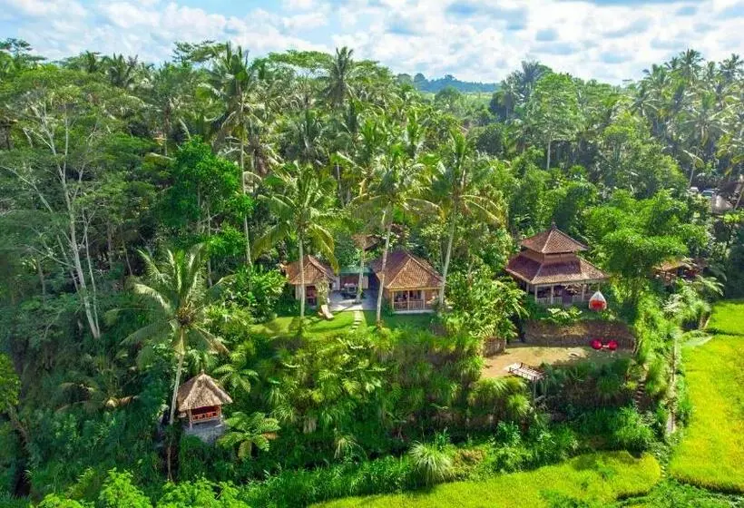 ベッドアンドブレックファースト Dewi Tara Haven