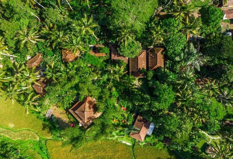 住宿加早餐 Dewi Tara Haven