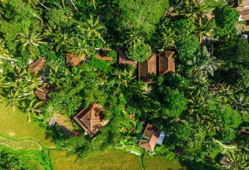 ベッドアンドブレックファースト Dewi Tara Haven