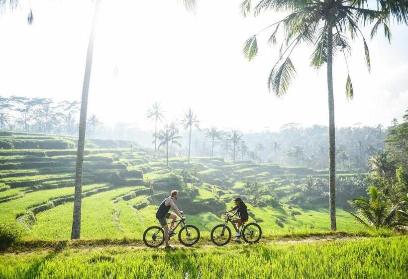 住宿加早餐 Dewi Tara Haven