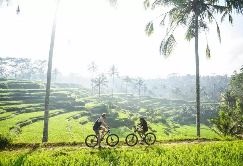 ベッドアンドブレックファースト Dewi Tara Haven