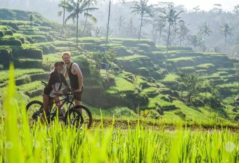 ベッドアンドブレックファースト Dewi Tara Haven