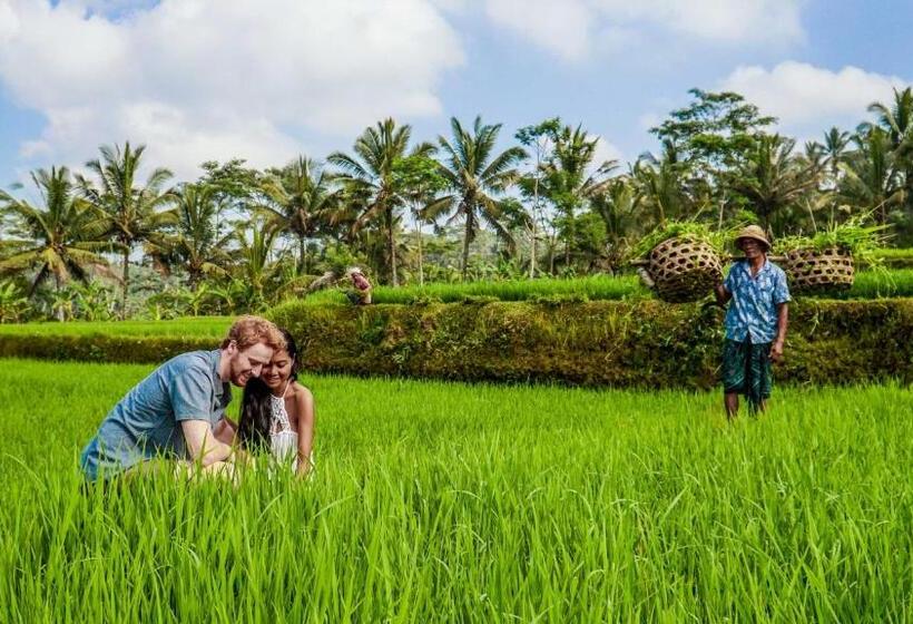 住宿加早餐 Dewi Tara Haven