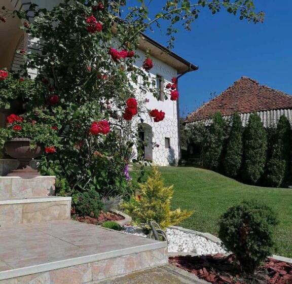 پانسیون Domaćinstvo Sinđelić