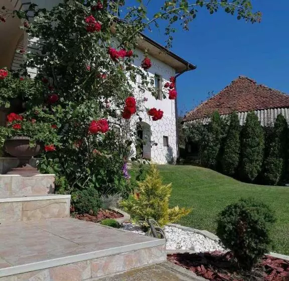 پانسیون Domaćinstvo Sinđelić