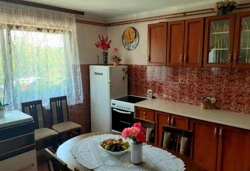 پانسیون Domaćinstvo Sinđelić