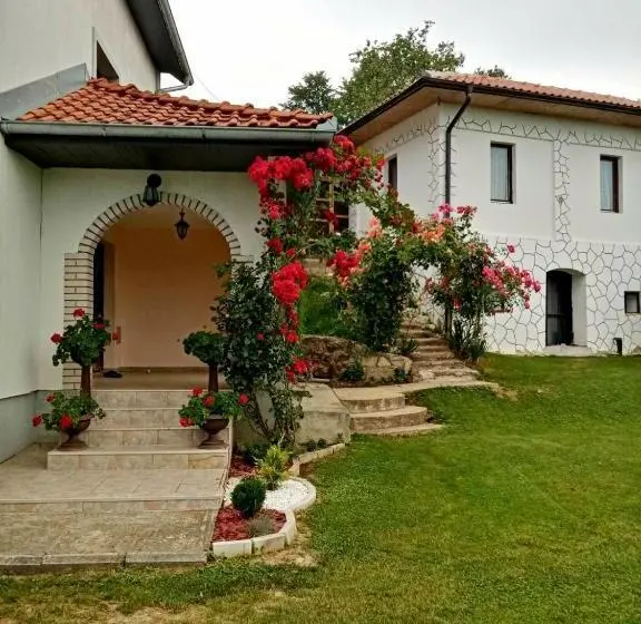 پانسیون Domaćinstvo Sinđelić