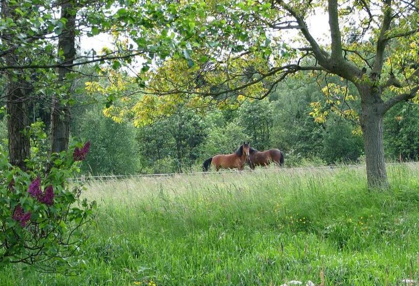 פנסיון Statek Pod Javořicí