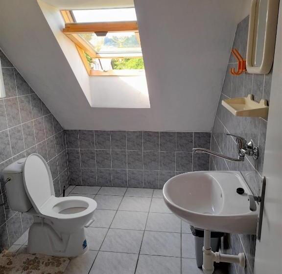 פנסיון Statek Pod Javořicí