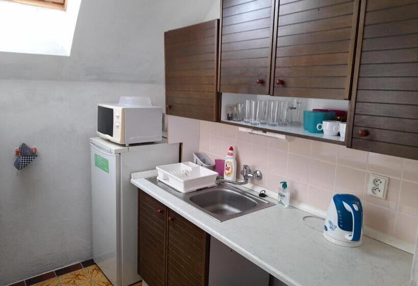 פנסיון Statek Pod Javořicí