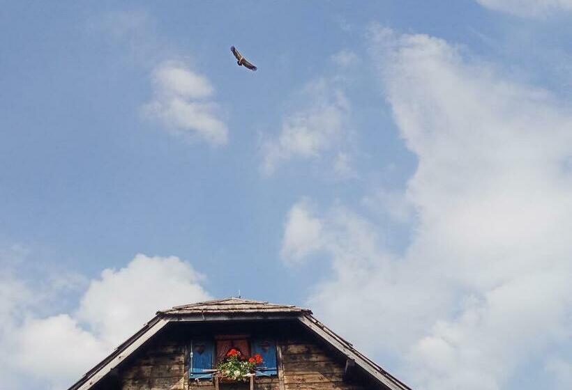هاستل Planinski Dom Tornik Zlatibor