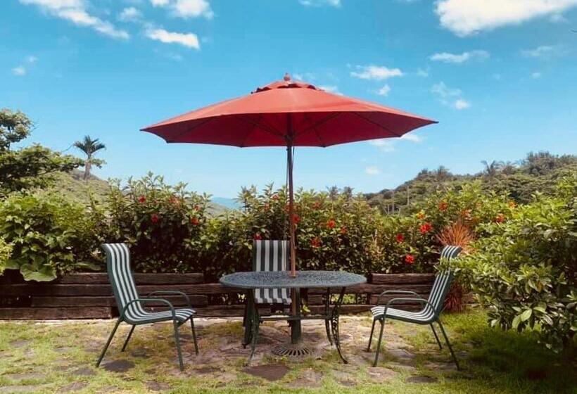 تختخواب و صبحانه 東方雲民宿