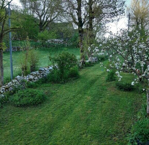 ベッドアンドブレックファースト Au Domaine Des Oiseaux