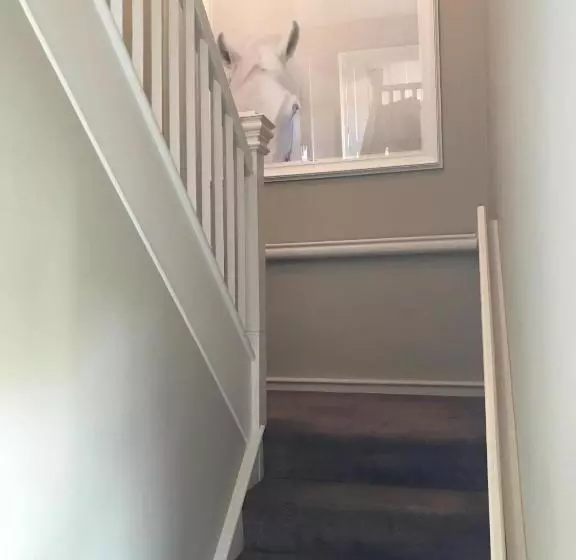 Majatalo Gate Lodge At Lough Erne Golf Village