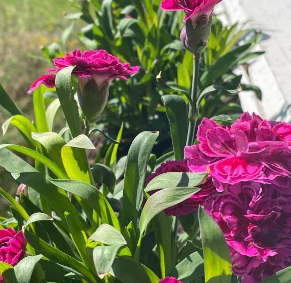 פנסיון Heidal Gjestgiveri As