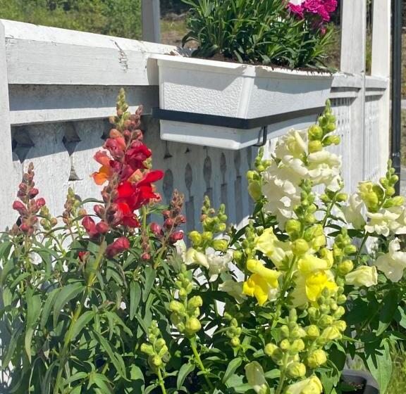 פנסיון Heidal Gjestgiveri As