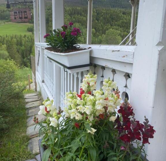 פנסיון Heidal Gjestgiveri As