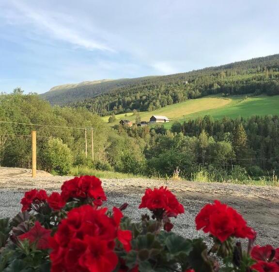 פנסיון Heidal Gjestgiveri As