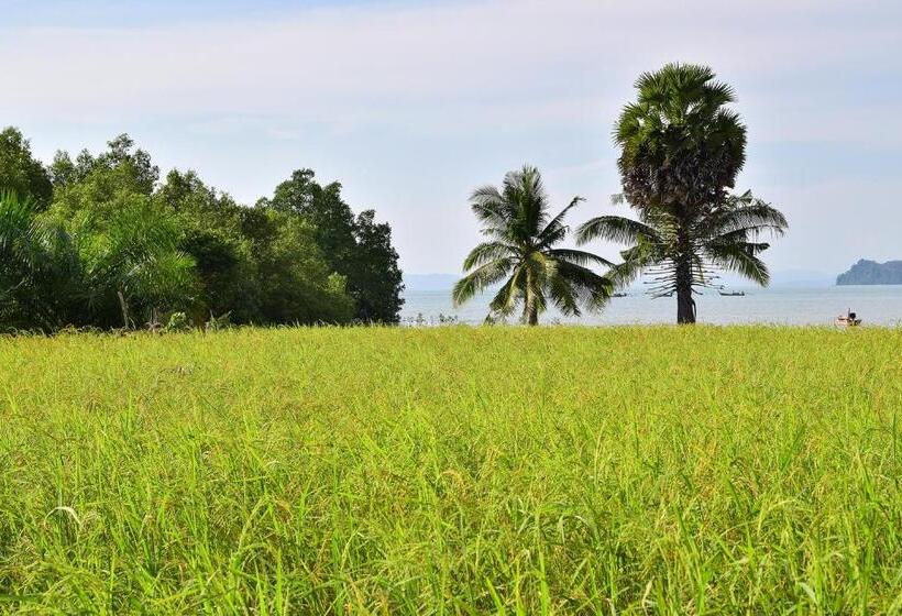 Anissa Resort Koh Yao Yai
