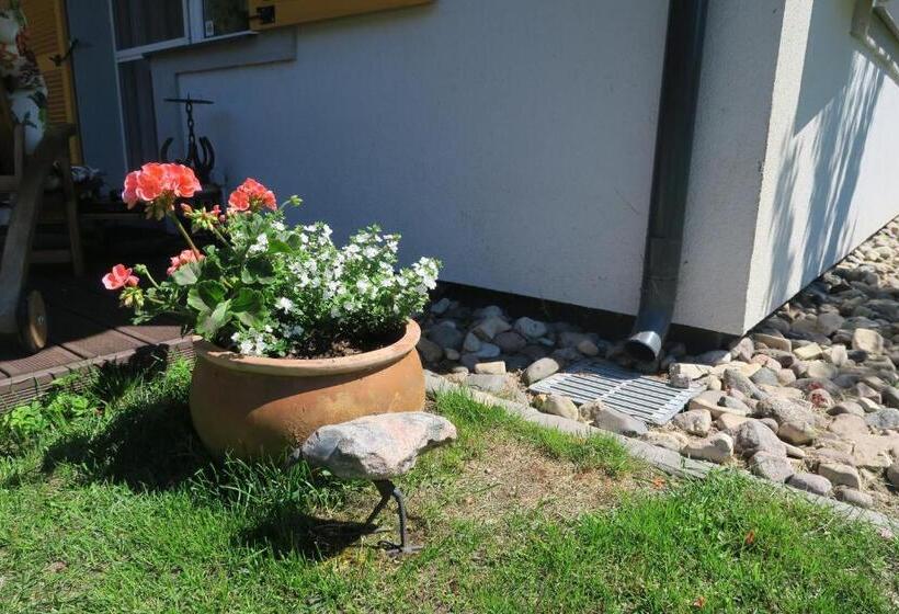 پانسیون Apartmenti Zvejniekciema