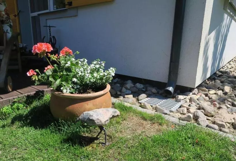پانسیون Apartmenti Zvejniekciema
