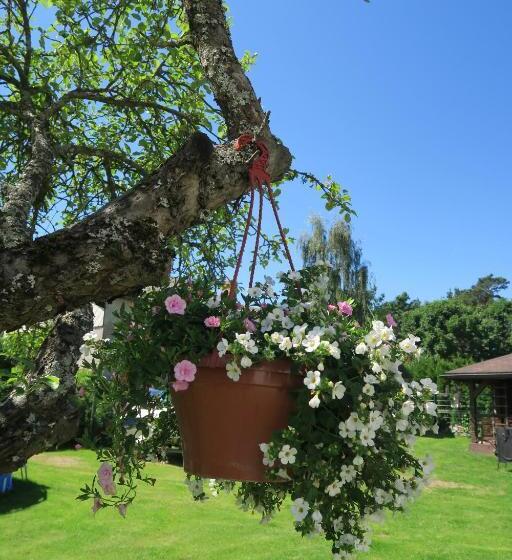 پانسیون Apartmenti Zvejniekciema