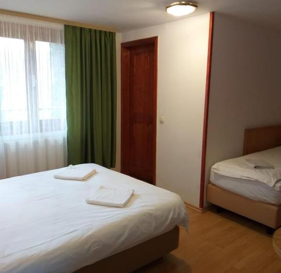 بنسيون Rapsodia Muntilor