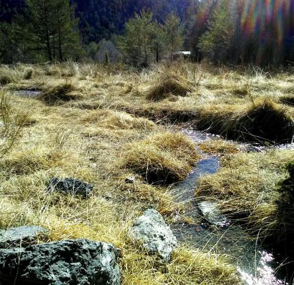 Пансион Refugi Quatre Cases