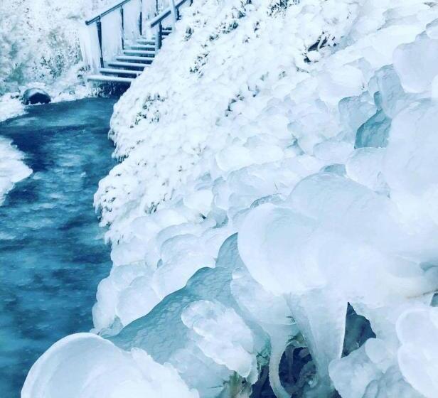 تختخواب و صبحانه Dimon