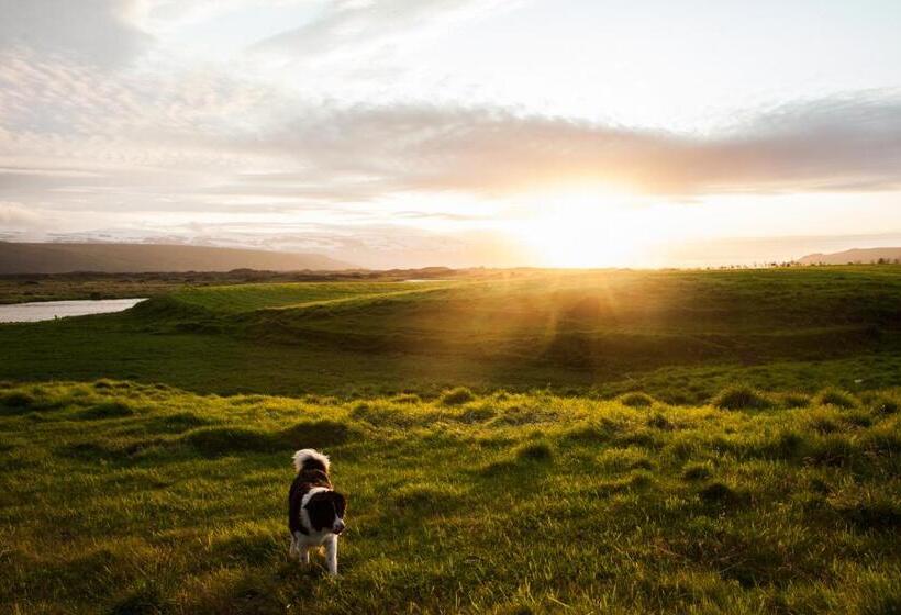 هتل Miðhvammur Farm Stay