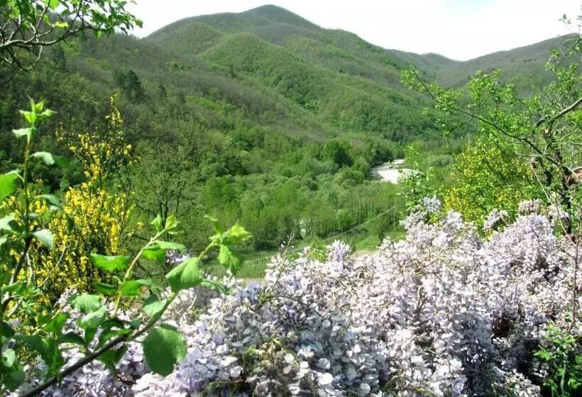 ホテル Agriturismo Il Giglio E La Rosa