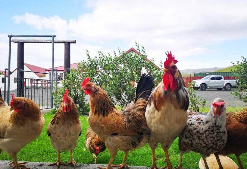 هتل Sólheimahjáleiga Guesthouse