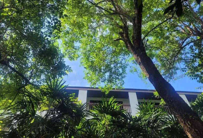 ホテル Wilacha Chiang Rai