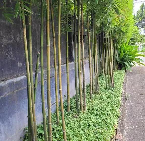ホテル Wilacha Chiang Rai