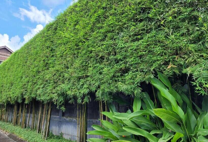 Hotell Wilacha Chiang Rai