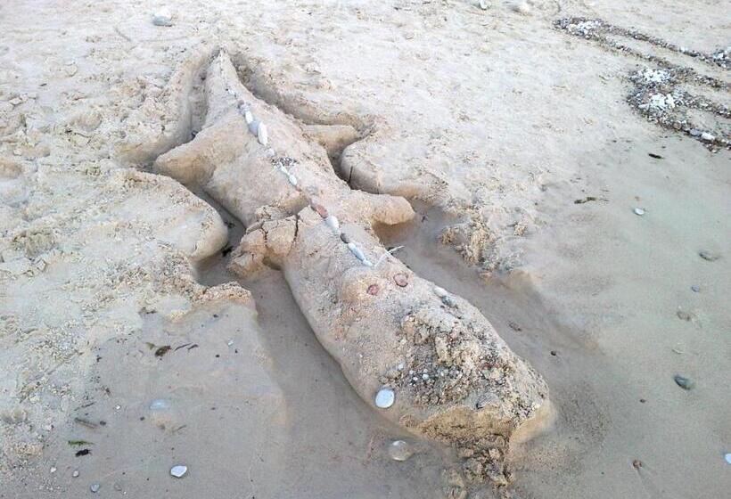 پانسیون Beach Guesthouse Lenkas