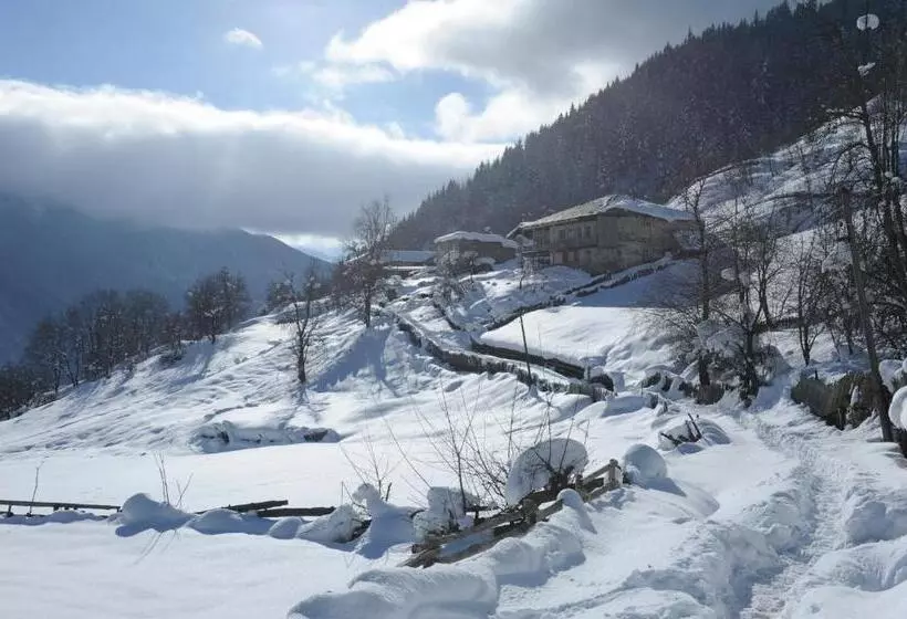 پانسیون Guest House Murkvam