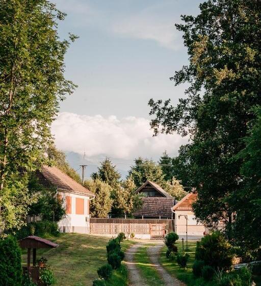 بنسيون Moara De Piatra