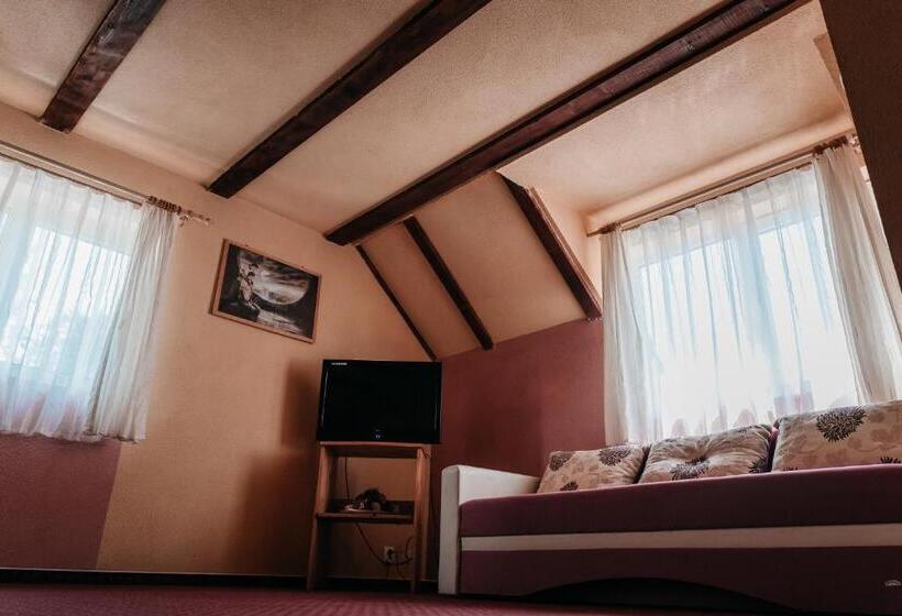 بنسيون Moara De Piatra