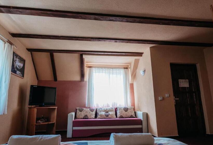 بنسيون Moara De Piatra