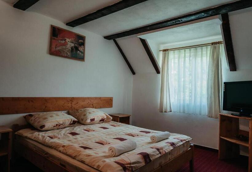 بنسيون Moara De Piatra