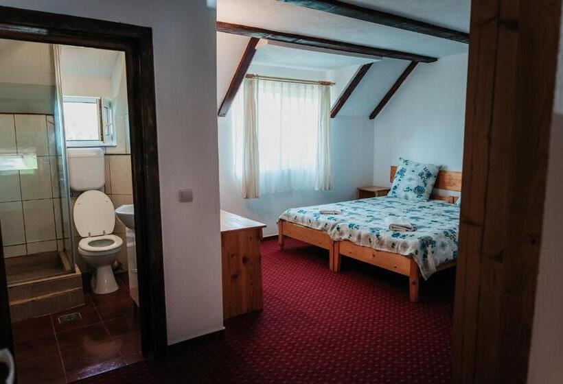 بنسيون Moara De Piatra