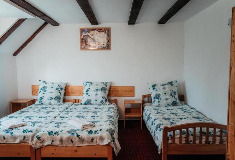 بنسيون Moara De Piatra