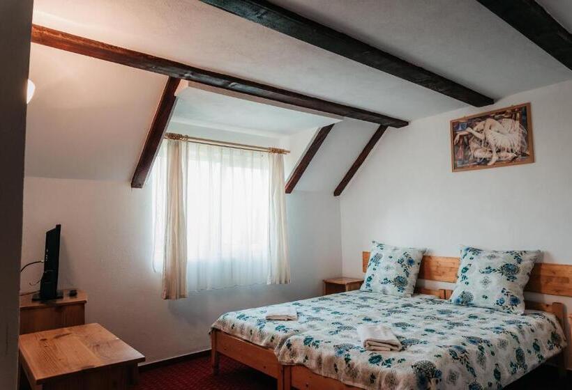 بنسيون Moara De Piatra