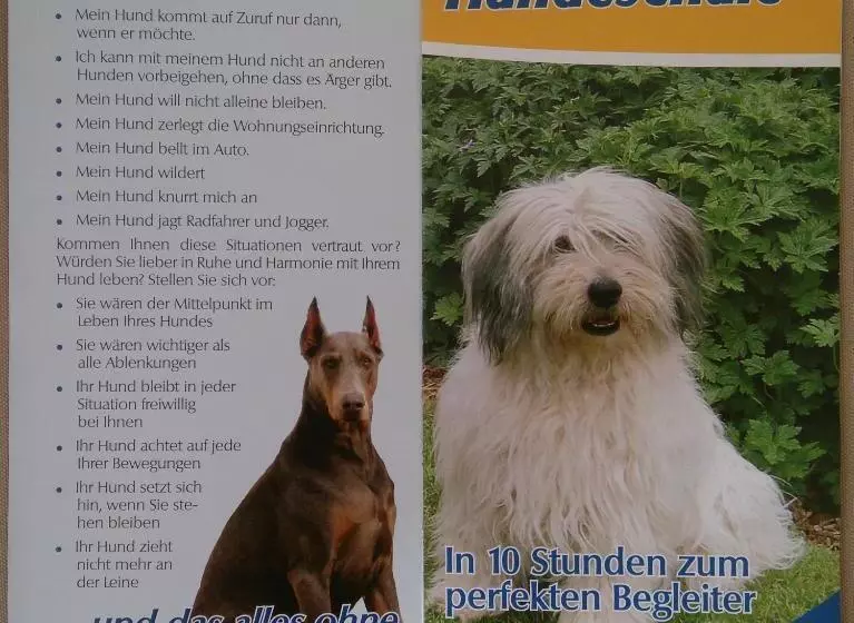 Pension Schwalbennest